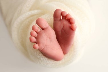 Yeni doğmuş bir bebeğin küçük ayağı. Yün beyaz bir battaniyenin içinde yeni doğmuş bir bebeğin yumuşak ayakları. Ayak parmakları, topuklar ve yeni doğmuş bir bebeğin ayakları. Makro fotoğrafçılık. 