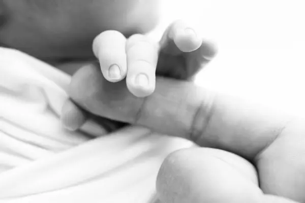 Close-up of babys small hand, head, ear and palm of mother. Macro. Black and white Photo of Newborn baby after birth tightly holding parents finger. Family and home concept. Healthcare, paediatrics.