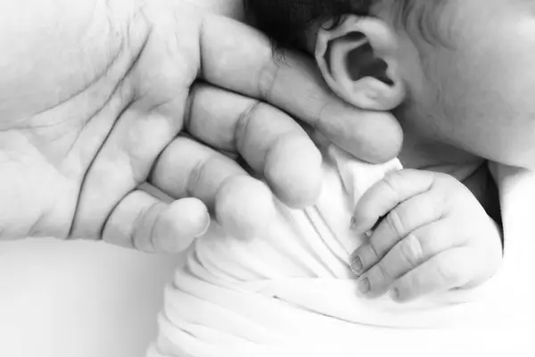 Close-up of babys small hand, head, ear and palm of mother. Macro. Black and white Photo of Newborn baby after birth tightly holding parents finger. Family and home concept. Healthcare, paediatrics.