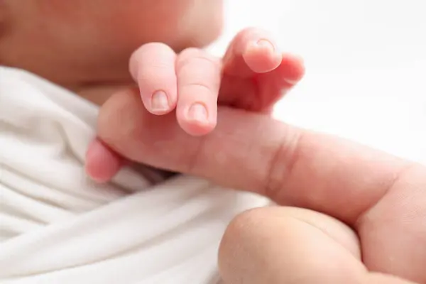 Close-up of babys small hand, head, ear and palm of mother Macro Photo of Newborn baby after birth tightly holding parents finger on white background. Family and home concept. Healthcare paediatrics