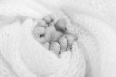 Yeni doğmuş bir bebeğin küçük ayağı. Yün battaniyenin içinde yeni doğmuş bir bebeğin yumuşak ayakları. Ayak parmakları, topuklar ve yeni doğmuş bir bebeğin ayakları. Siyah beyaz Makro fotoğrafçılık.