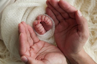 Annenin, babanın avuç içleri yeni doğan bebeğin ayağını beyaz bir battaniyenin içinde tutuyor. Yeni doğan bebeğin ayakları, ebeveynlerin avuçlarında. Stüdyo makro çocuk fotoğrafı. Parmak, topuklar ve ayaklar.. 
