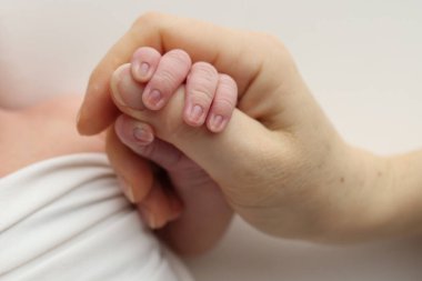 Close-up little hand of child and palm of mother and father. The newborn baby has a firm grip on the parents finger after birth. A newborn holds on to moms, dads finger. 