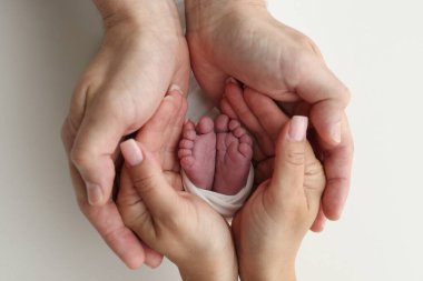 Annenin, babanın avuç içleri yeni doğan bebeğin ayağını beyaz bir battaniyenin içinde tutuyor. Yeni doğan bebeğin ayakları, ebeveynlerin avuçlarında. Stüdyo makro çocuk fotoğrafı. Parmak, topuklar ve ayaklar.. 