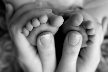 Anne bebek ayağına masaj yapıyor. Bebek ayaklarını annenin ellerine teslim et. Düz taban, gelişim, kas yapısı, displazi. Aile, sevgi, ilgi ve sağlık kavramları. Stüdyo makrosu. 
