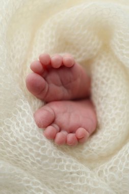 The tiny foot of a newborn. Soft feet of a newborn in a white woolen blanket. Close up of toes, heels and feet of a newborn baby. Studio Macro photography. Womans happiness. 