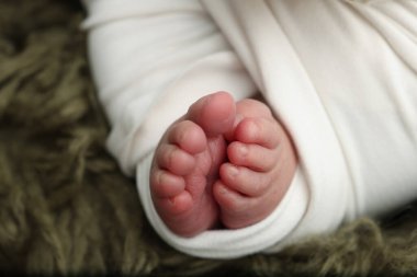 Yeni doğmuş bir bebeğin küçük ayağı. Koyu yeşil arka planda beyaz bir battaniyenin içinde yeni doğmuş bir bebeğin yumuşak ayakları. Yeni doğmuş bir bebeğin ayak parmaklarını, topuklarını ve ayaklarını kapat. Stüdyo Makro fotoğrafçılık. Kadınların mutluluğu. 
