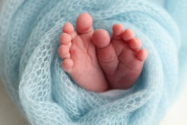 Close-up of tiny, cute, bare toes, heels and feet of a newborn girl, boy. Baby foot on blue soft coverlet, blanket. Detail of a newborn baby legs.Macro horizontal professional studio photo. 