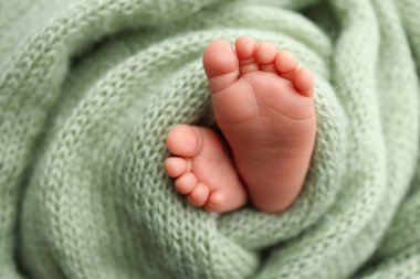 Yeni doğmuş bir bebeğin küçük ayağı. Zeytin yeşili yün bir battaniyenin içinde yeni doğmuş bir bebeğin yumuşak ayakları. Yeni doğmuş bir bebeğin ayak parmaklarını, topuklarını ve ayaklarını kapat. Stüdyo Makro fotoğrafçılık. Kadınların mutluluğu. 