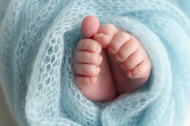 Close-up of tiny, cute, bare toes, heels and feet of a newborn girl, boy. Baby foot on blue soft coverlet, blanket. Detail of a newborn baby legs.Macro horizontal professional studio photo. 