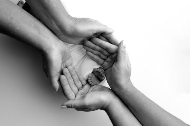 Ebeveynlerin avuç içleri. Bir anne ve baba yeni doğmuş bir çocuğun ayaklarını battaniyeye sarar. Ebeveynlerin elinde yeni doğmuş bir bebeğin ayakları. Ayak, topuklar ve ayak parmaklarının siyah ve beyaz fotoğrafı. 