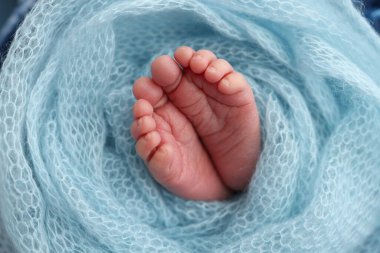 Close-up of tiny, cute, bare toes, heels and feet of a newborn girl, boy. Baby foot on blue soft coverlet, blanket. Detail of a newborn baby legs.Macro horizontal professional studio photo. 