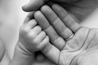 Close-up little hand of child and palm of mother and father. The newborn baby has a firm grip on the parents finger after birth. A newborn holds on to moms, dads finger. Black and white photo. 