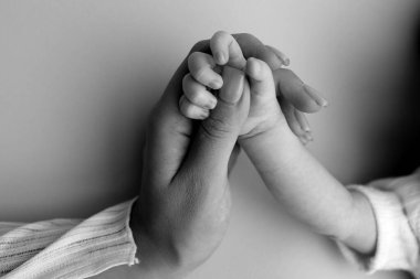 Close-up little hand of child and palm of mother and father. The newborn baby has a firm grip on the parents finger after birth. A newborn holds on to moms, dads finger. Black and white photo. 