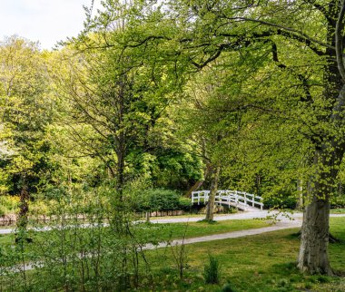 Şehrin en güzel parkı.