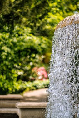 Hollanda 'daki botanik bahçesi.