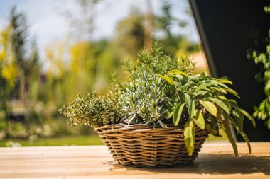 Bahçesinde taze çiçekler olan hasır bir sepetin yakın çekimi.