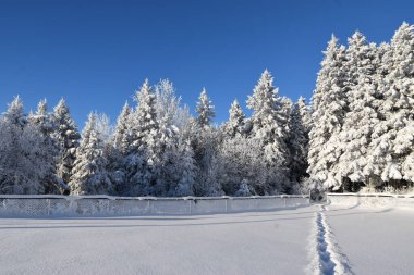 The recreational playground in winter, Sainte-Apolline, Qubec, Canada clipart