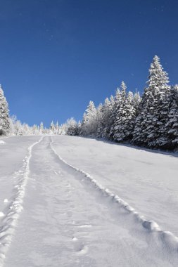 Kışın eğlence parkı, Sainte-Apolline, Qubec, Kanada