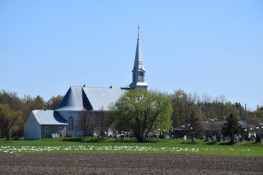 Baharda kar kazları, Berthier-sur-Mer, Qubec, Kanada