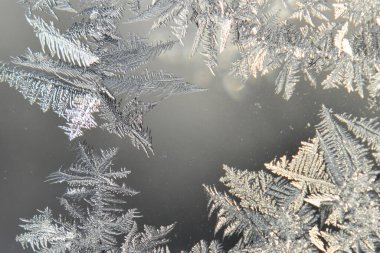 Frost in a window, Sainte-Apolline, Qubec, Canada clipart