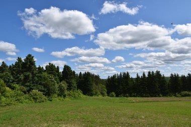 Yazın yulaf tarlası, Sainte-Apolline, Qubec, Kanada