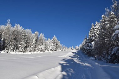 Kışın eğlence parkı, Sainte-Apolline, Qubec, Kanada
