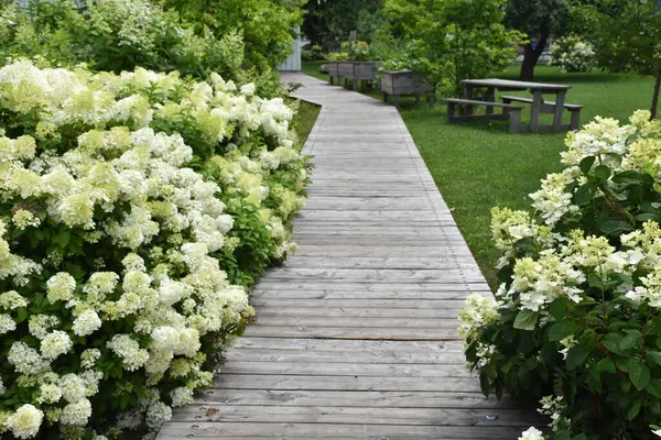 Yazın parkta çiçekler, Montmagny, Qubec, Kanada