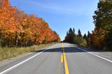 Sonbaharda bir köy yolu, Qubec, Kanada