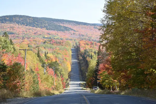 Sonbaharda bir köy yolu, Qubec, Kanada