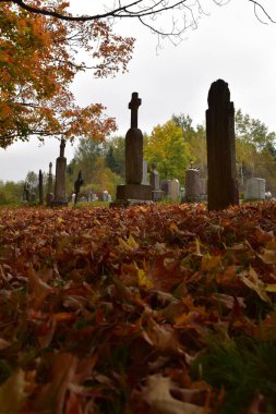 Sonbaharda mezarlıkta, Qubec, Kanada