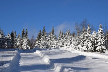 The recreational playground in winter, Sainte-Apolline, Qubec, Canada clipart