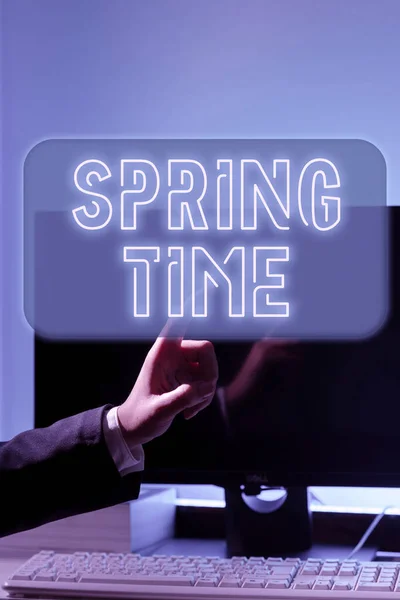 Testo Calligrafico Spring Time Parola Stagione Temperata Dell Anno Identificata — Foto Stock