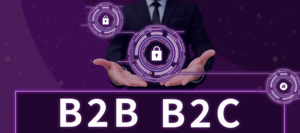 Konceptvisning B2B B2C Koncept Som Betyder Två Typer För Att — Stockfoto