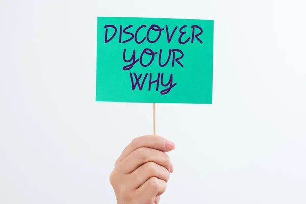 Writing Displaying Text Discover Your Why Internet Concept Knowing Reason — Stock Photo, Image