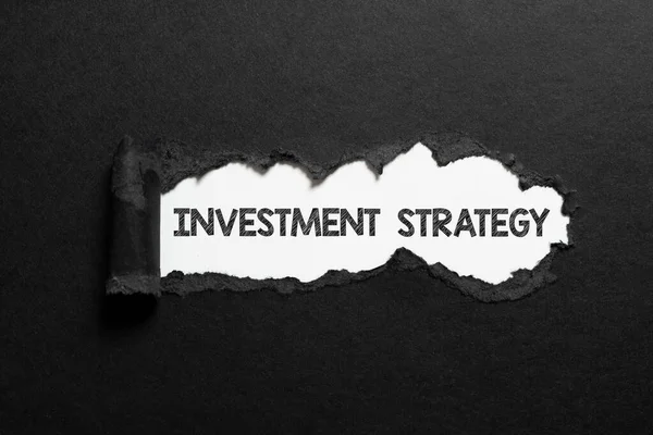 Befektetési Stratégia Megjelenítése Üzleti Áttekintés Egyesüljön Egyesítse Erőit Közös Cél — Stock Fotó