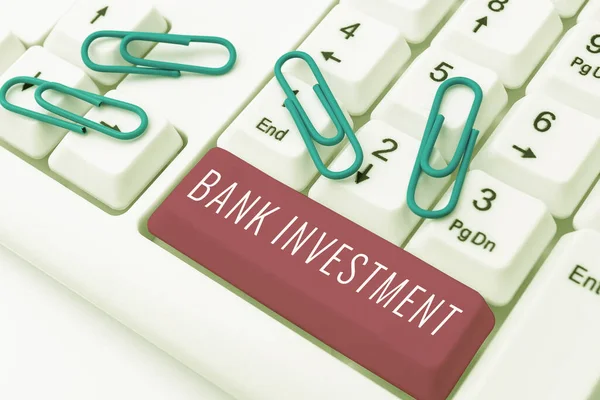 Sinal Texto Mostrando Investimento Bancário Foto Conceitual Oferecendo Serviços Como — Fotografia de Stock