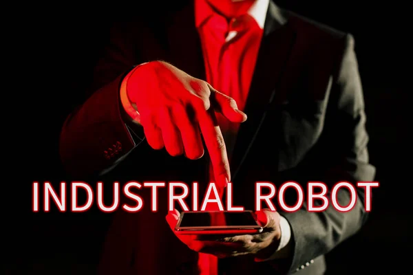 Text Sign Showing Industrial Robot Business Overview Application Better Solutions — Stock Photo, Image