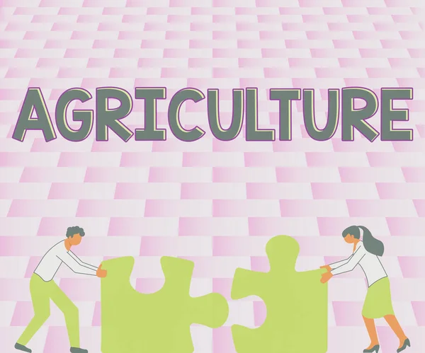 Text Bildtext Presenterar Jordbruk Begreppet Innebär Ett Tillstånd Som Kännetecknas — Stockfoto