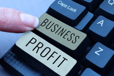 Kavramsal görünüm Business Profit, Business Profit, bir şirket hakkında değerli bilgiler arama eylemi Yazma Bitiş Kullanıcı Lisansı Anlaşması, Yeni Ağ Parolası Yazma