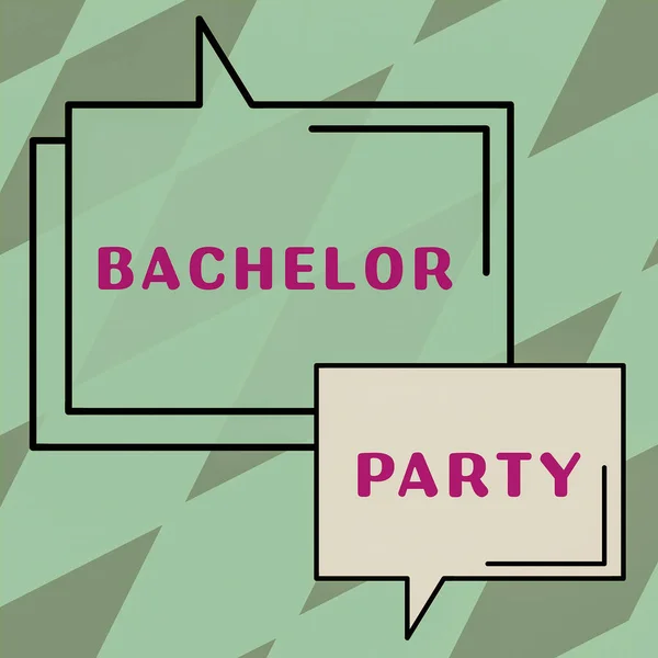 Sign Exibindo Bachelor Party Visão Geral Negócio Projetado Para Ajudar — Fotografia de Stock