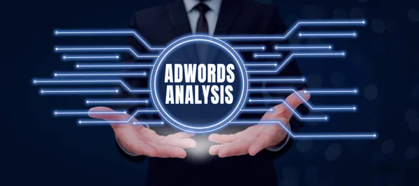 Visualización Conceptual Análisis Adwords Enfoque Empresarial Monitorea Las Campañas Garantiza — Foto de Stock