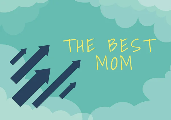 Text Skylt Som Visar Best Mom Affärsöversikt Uppskattning För Din — Stockfoto