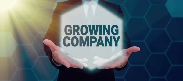 Texto Que Mostra Inspiração Growing Company Conceito Negócio Uma Empresa — Fotografia de Stock
