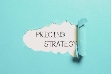 Fiyat Stratejisini gösteren imza, şirketlerin ürünlerini veya hizmetlerini fiyatlandırmak için kullandığı yöntem için sözcük
