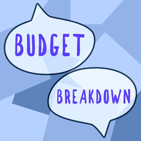 Text Bildtext Presenterar Budget Uppdelning Affärsidé Att Dela Upp Kostnaden — Stockfoto