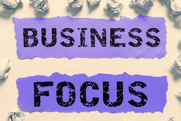 Visualizzazione Del Testo Business Focus Business Overview Servizio Delle Esigenze — Foto Stock