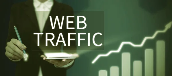 Text Zobrazující Inspiraci Web Traffic Koncept Znamenající Počet Uživatelů Webu — Stock fotografie