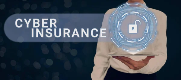 Sinal Texto Mostrando Cyber Insurance Visão Geral Negócio Plano Exclusivo — Fotografia de Stock