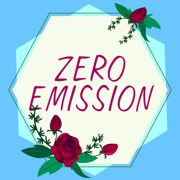Handschriftliches Zeichen Zero Emission Wort Für Bezieht Sich Auf Einen — Stockfoto